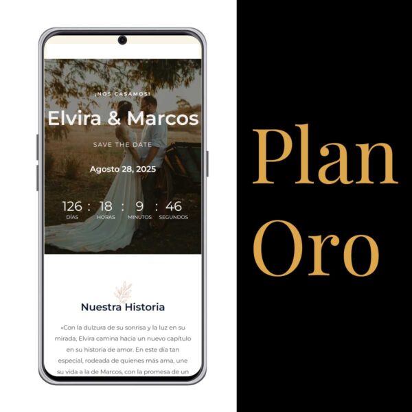 Plan Oro